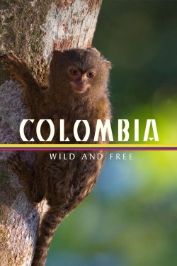 watch Colombia - Wild and Free movies free online Sflix