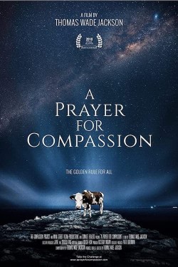 Watch free A Prayer for Compassion movies online - 2KMovies