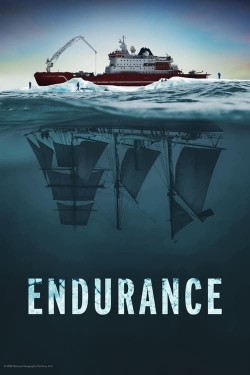 Enjoy Free HD Viewing of Endurance on Putlocker