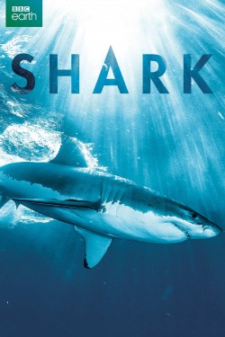 Watch Shark movies free