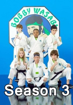 Kickin' It - Season 3