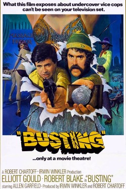 Enjoy Free HD Viewing of Busting on Putlocker