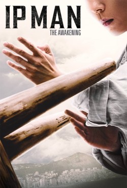 Enjoy Free HD Viewing of Ip Man: The Awakening on Putlocker