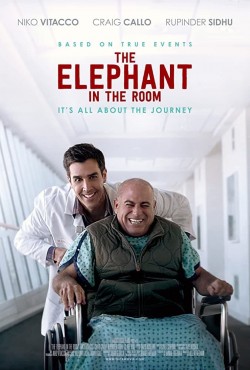 Watch free The Elephant In The Room movies Hd online on TinyZone