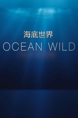 Ocean Wild Ocean Wild