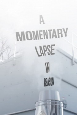 Watch A Momentary Lapse in Reason free online