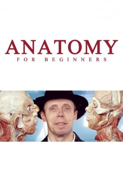 Watch Anatomy for Beginners movies free AniWave