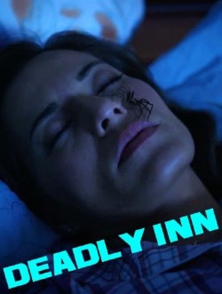 Watch Deadly Inn free online