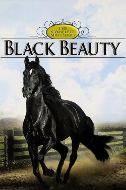 Watch Black Beauty movies free AniWave