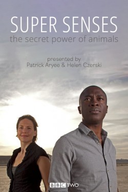 Watch free Super Senses: The Secret Power of Animals movies Hd online on TinyZone