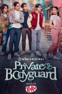 Watch Private Bodyguard free online