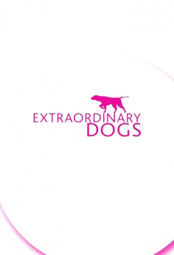 Watch Extraordinary Dogs movies free AniWave