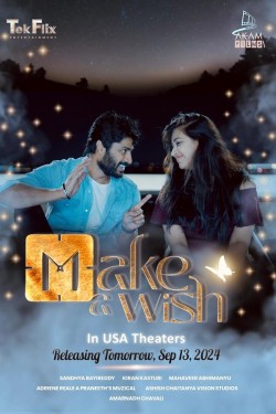 Watch free Make a Wish movies online