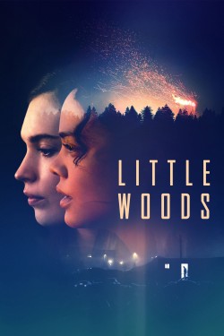 Watch free Little Woods movies online - GoMovies