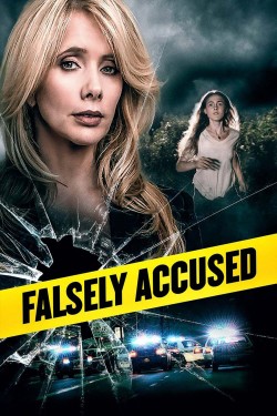 Watch Falsely Accused free online