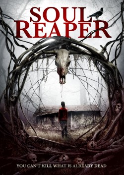 Watch free Soul Reaper movies Hd online Braflix Alternative