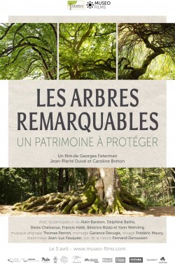 Watch Les Arbres Remarquables, un patrimoine à protéger free online