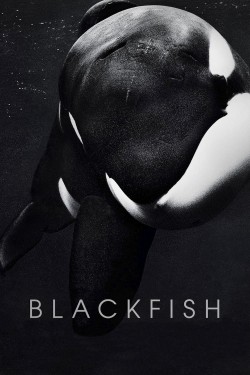 Watch Free Blackfish Movies Full HD Online