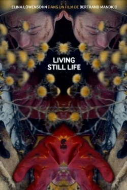 Living Still Life Watch Free Living Still Life Movies HD Online Vumoo Alternatives site
