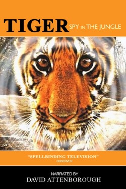 Watch Tiger: Spy In The Jungle movies free AniWave