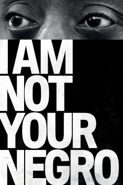 Watch Free I Am Not Your Negro HD Online on MyFlixer