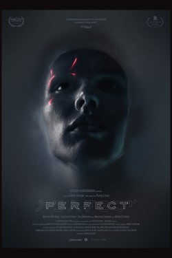 Watch Perfect movies free