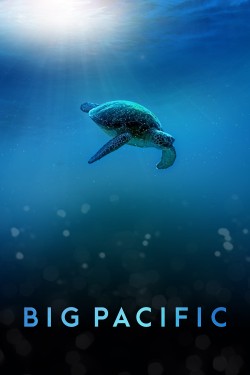 Watch Free Big Pacific Movies Full HD Online