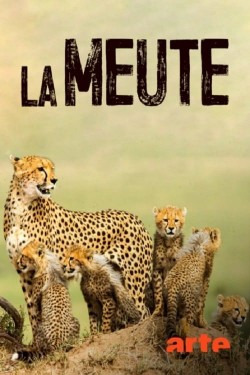 La Meute Cinq guépards dans le Serengeti