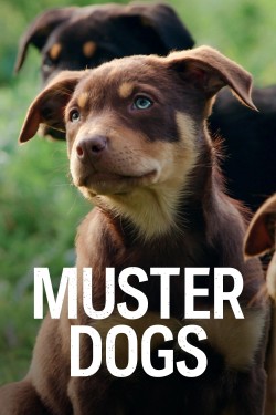 Watch free Muster Dogs movies online