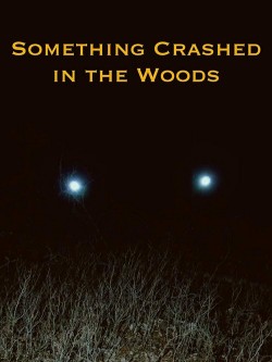 Watch free Something Crashed in the Woods movies online on on 123Movies Alternatives site