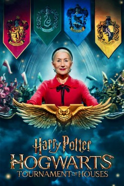 Watch Free Harry Potter: Hogwarts Tournament of Houses Movies Online on TheFlixer Alternatives site