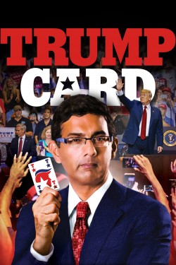 Enjoy Free HD Viewing of Trump Card on Putlocker