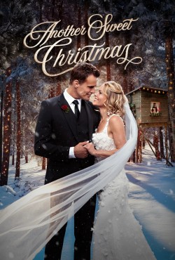 Watch free Another Sweet Christmas movies online - GoMovies