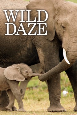 Watch free Wild Daze movies Hd online on TinyZone