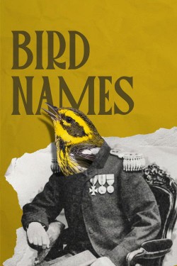 Watch free Bird Names movies Hd online