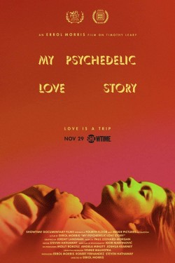 Watch free My Psychedelic Love Story full