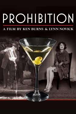 Watch Prohibition movies free AniWave