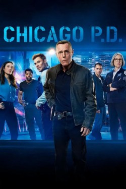 Chicago P.D. - Season 13