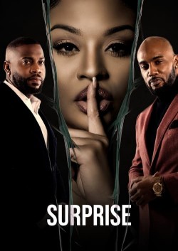 Enjoy Free HD Viewing of Surprise on Putlocker