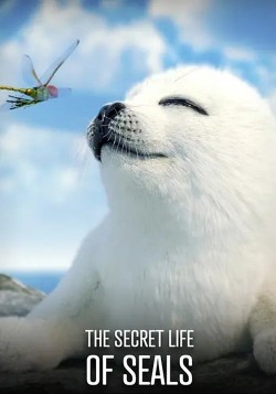 The Secret Life of Seals Watch free The Secret Life of Seals movies online - GoMovies