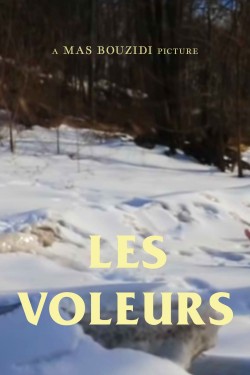 Watch Les Voleurs movies free AniWave