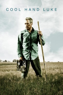 Enjoy Free HD Viewing of Cool Hand Luke on Putlocker