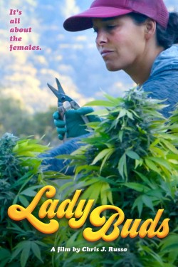 Watch free Lady Buds full