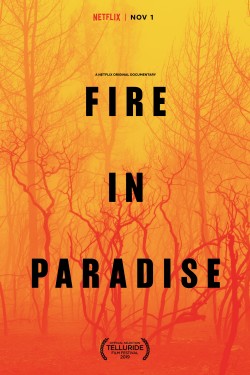 Watch Fire in Paradise Movies Free Online FlixTor Alternatives