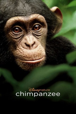 Watch free Chimpanzee movies online - GoMovies