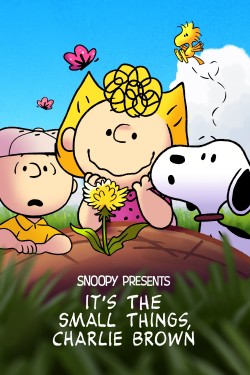 Enjoy Free HD Viewing of Snoopy Presents: It’s the Small Things, Charlie Brown on Putlocker