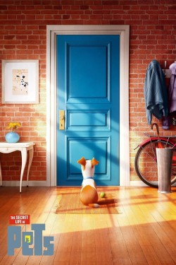 Watch free The Secret Life of Pets movies online hd - Flixtor