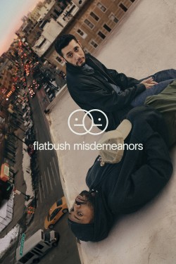 Enjoy Free HD Viewing of Flatbush Misdemeanors on Putlocker