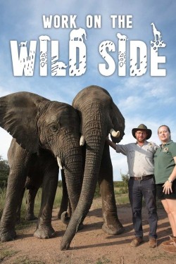 Watch free Work on the Wild Side movies online
