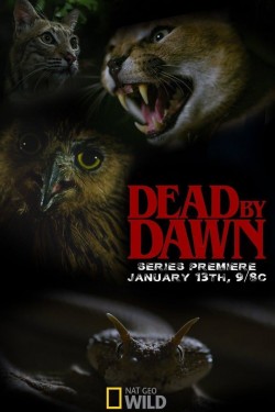 Watch Free Dead By Dawn Movies HD 1080p Gomovies